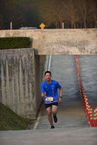 BIB: 
                            <button type="button" onclick="openModal(1419653)" class="btn btn-primary btn-sm float-right btn-popup" data-toggle="modal" data-target=".modal-high-quality">
                        <i class="fas fa-shopping-cart"></i> Add to Cart
                    </button>
                                            <button type="button" onclick="isThisMe(1419653, true)" class="btn btn-success btn-sm float-right btn-popup btn-isme hidden" data-toggle="tooltip" data-placement="bottom" title="นี่คือรูปของคุณใช่ไหม คลิกที่นี่เพื่อเอาเข้าอัลบั้ม">
                        <i class="fas fa-plus"></i> Add to album
                    </button>
                    <button type="button" onclick="isThisMe(1419653, false)" class="btn btn-warning btn-sm float-right btn-popup btn-isnotme hidden">
                        <i class="fas fa-ban"></i> Remove from album
                    </button>